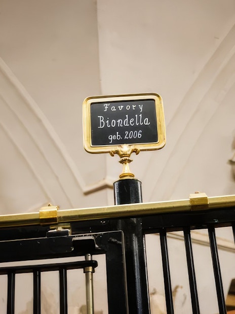 Stallion name plaque for Favory Biondella at Stallburg Imperial Stables.