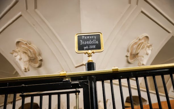 Stallion name plaque for Favory Biondella at Stallburg Imperial Stables.