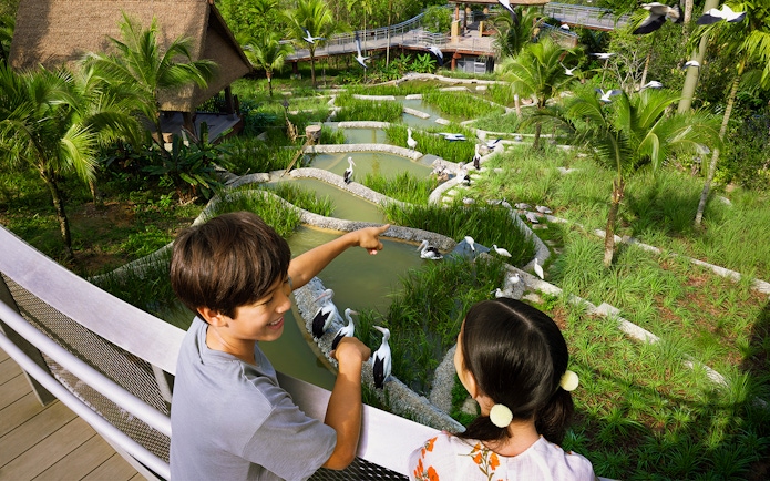 Children observing birds in a lush wetland habitat at Bird Paradise.