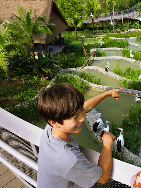 Children observing birds in a lush wetland habitat at Bird Paradise.