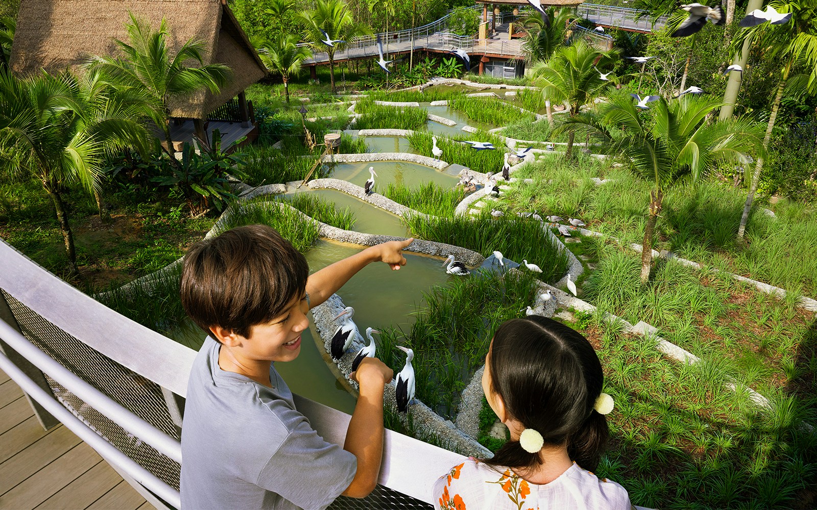 Children observing birds in a lush wetland habitat at Bird Paradise.