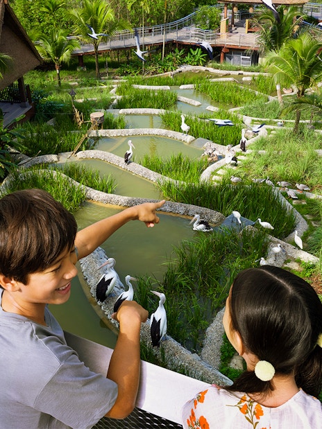 Children observing birds in a lush wetland habitat at Bird Paradise.