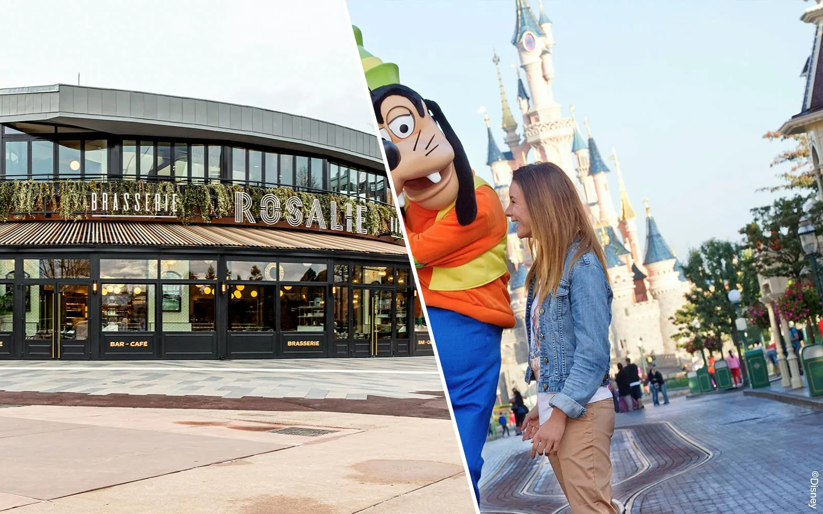 Breakfast at Brasserie Rosalie with Pluto and guests in Disneyland Paris.