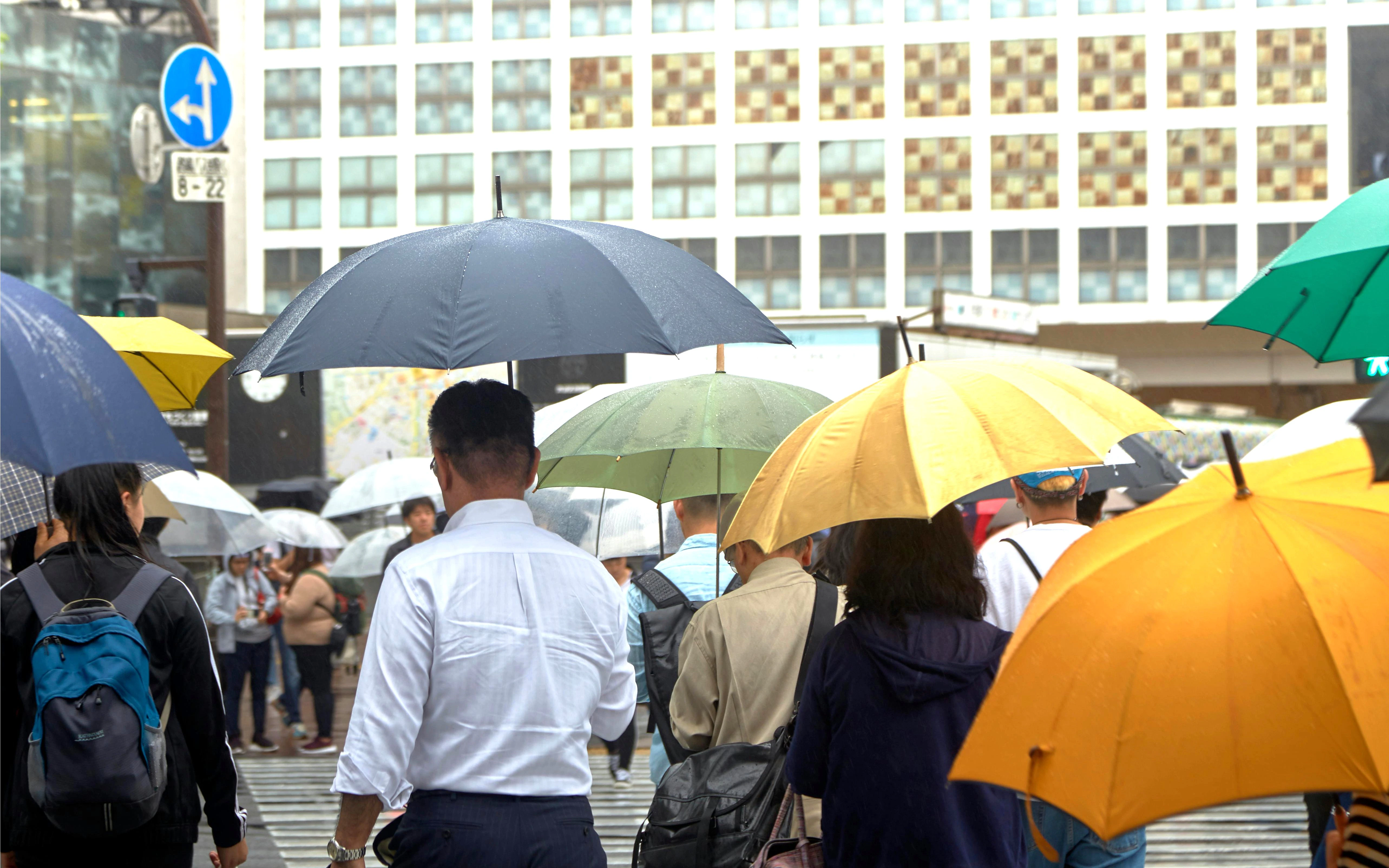 Crowd with umbrellas walking in the rain at a city crosswalk.