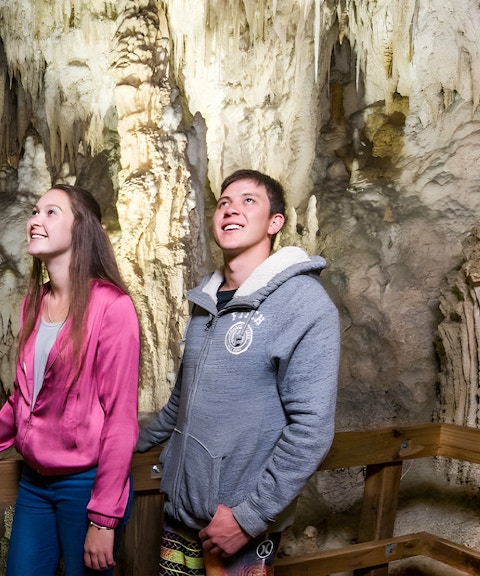 Visitors exploring Waitomo Glowworm Caves in Auckland, viewing stalactites and stalagmites.