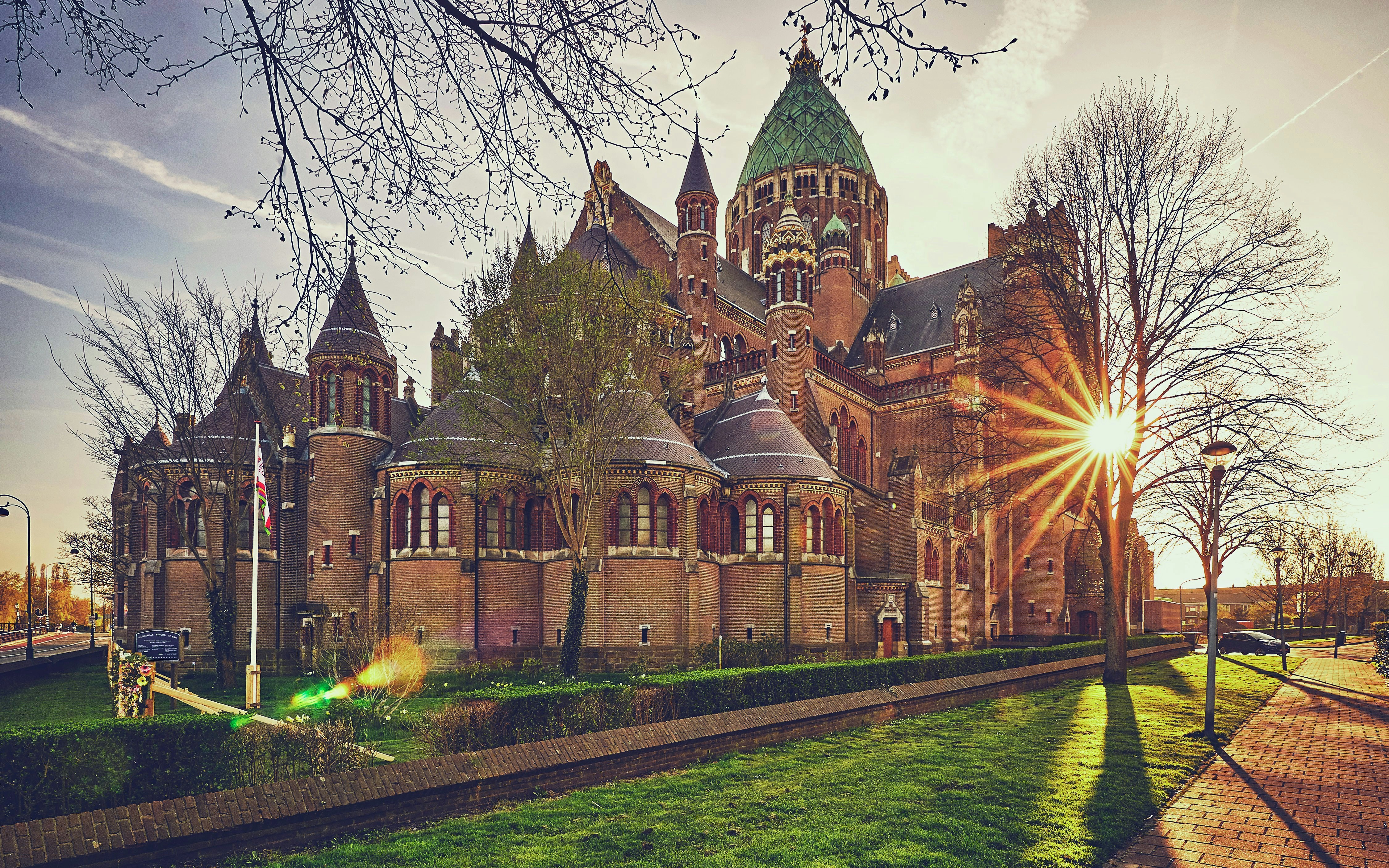 Cathedral of Saint Bavo in Haarlem with sun setting behind trees.