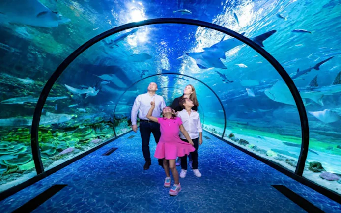 Family exploring underwater tunnel at National Aquarium Abu Dhabi.