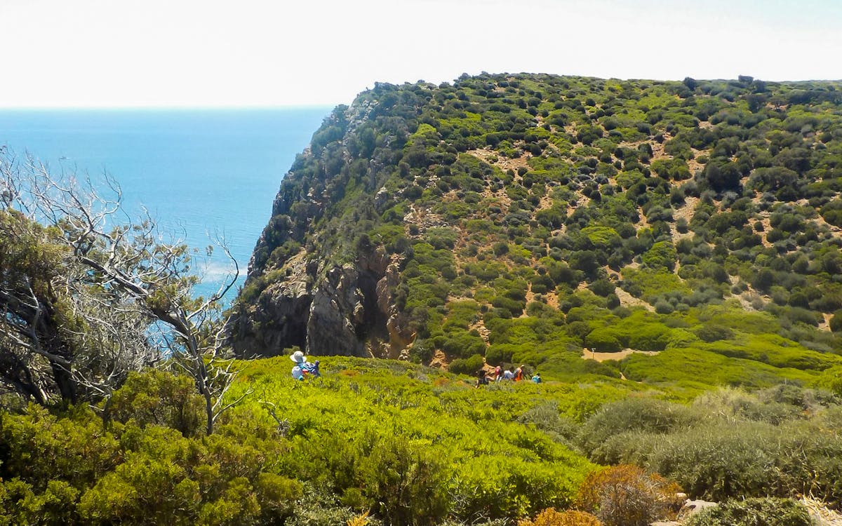 desde masua: senderismo guiado a cala domestica-9 desde masua: senderismo guiado a cala domestica-9