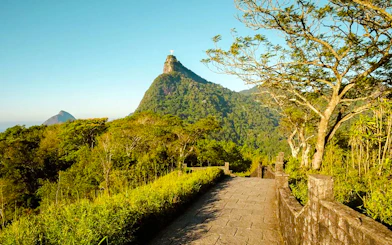 Trail leading through Tijuca Forest with view of Christ the Redeemer, Rio de Janeiro.