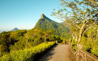 Trail leading through Tijuca Forest with view of Christ the Redeemer, Rio de Janeiro.