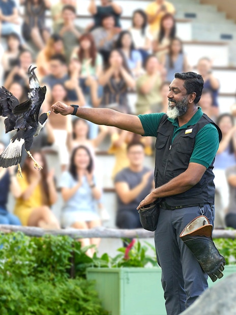 Trainer presenting eagle to audience at Bird Paradise show.