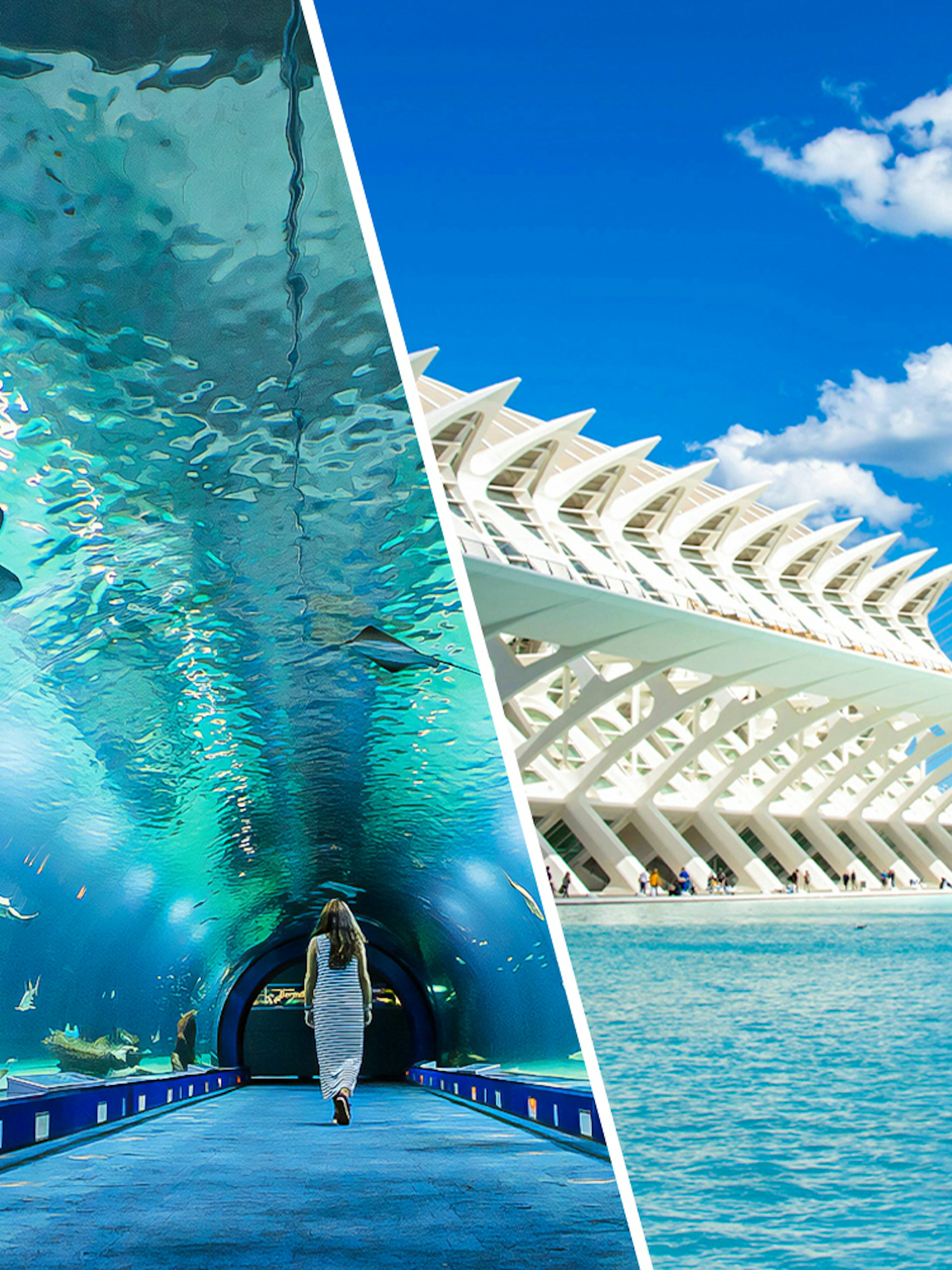 Oceanogràfic aquarium tunnel and Science Museum in Valencia, Spain.