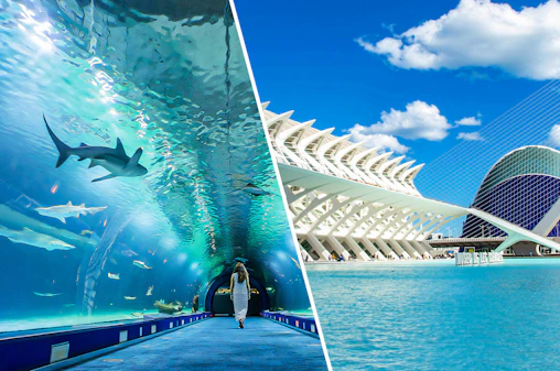 Combo: Oceanogràfic + Science Museum Tickets