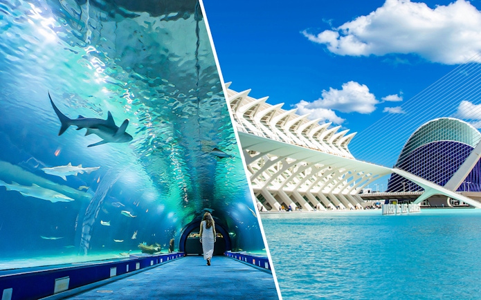 Oceanogràfic aquarium tunnel and Science Museum in Valencia, Spain.