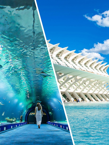 Oceanogràfic aquarium tunnel and Science Museum in Valencia, Spain.