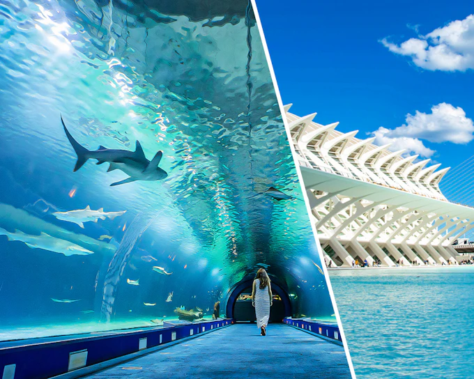 Combo: Oceanogràfic + Science Museum Tickets