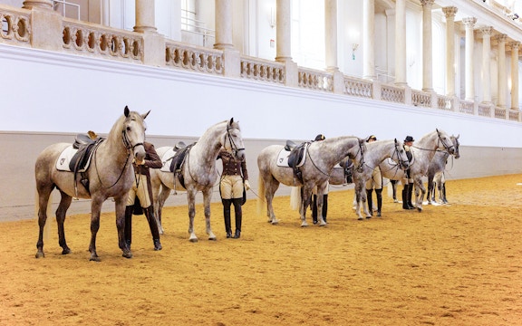 Spanish Riding School Tickets