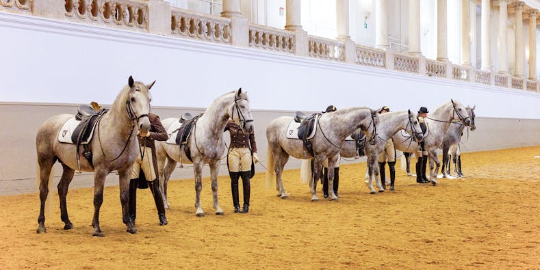 École espagnole d'équitation