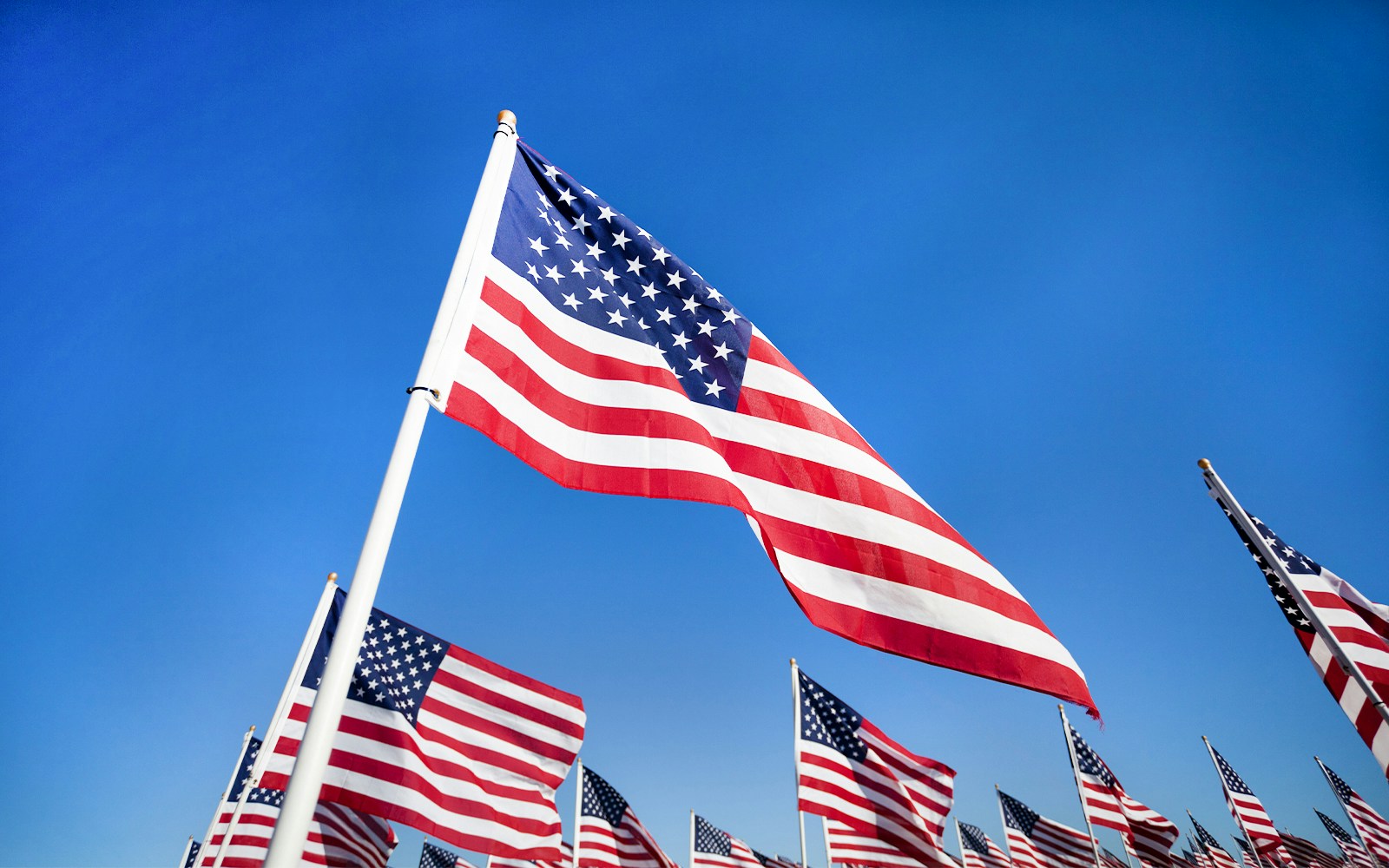American flags displayed against a clear blue sky for a national holiday commemoration.