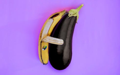 Animal