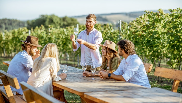 Wine Tours in Provence