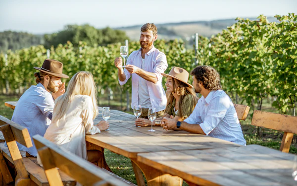 From Marseille: Full-Day Wine Tasting Tour of Bandol & Cassis