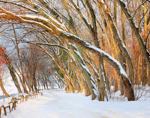 Nami Island