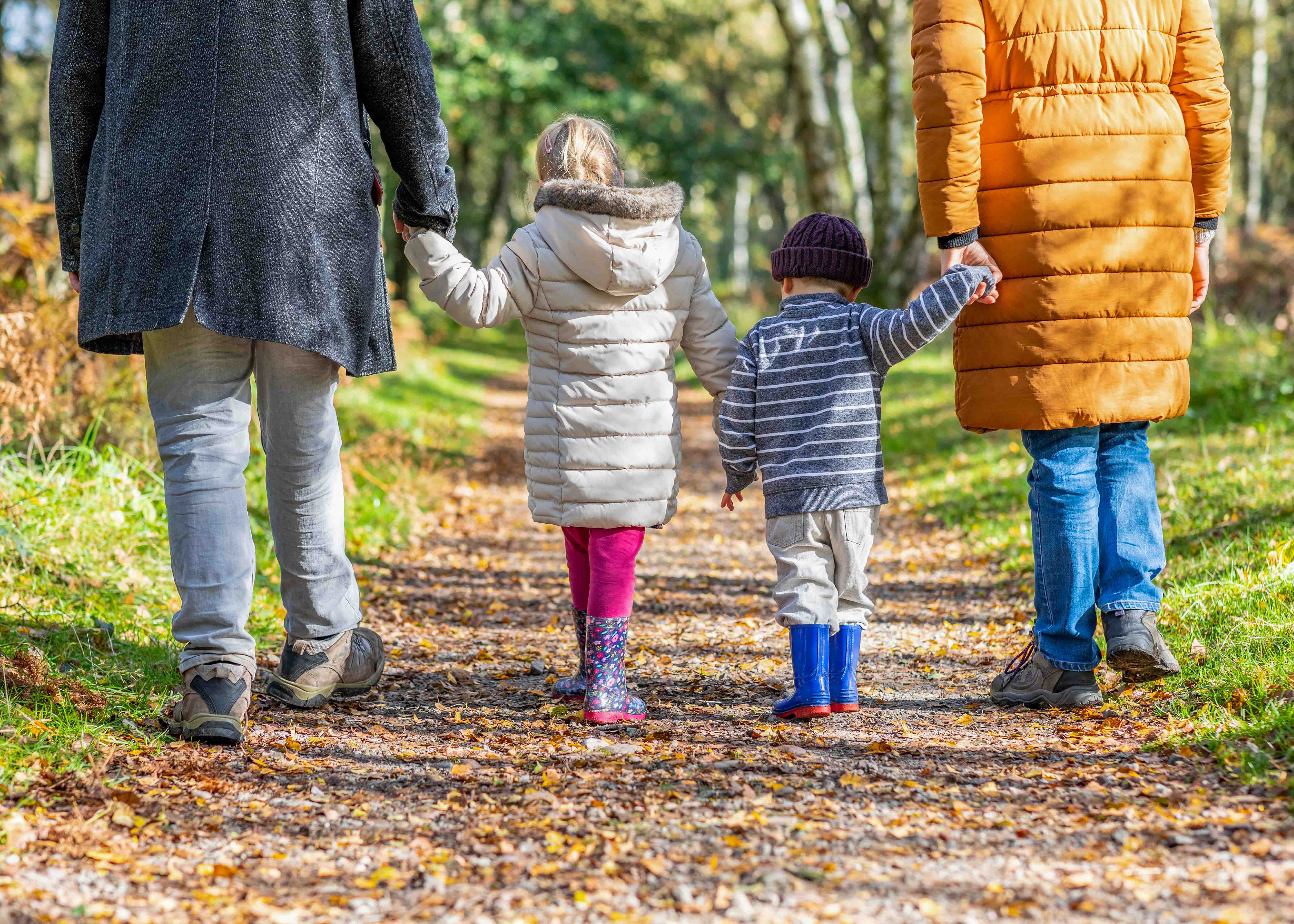 Gatorland Rules and Regulations