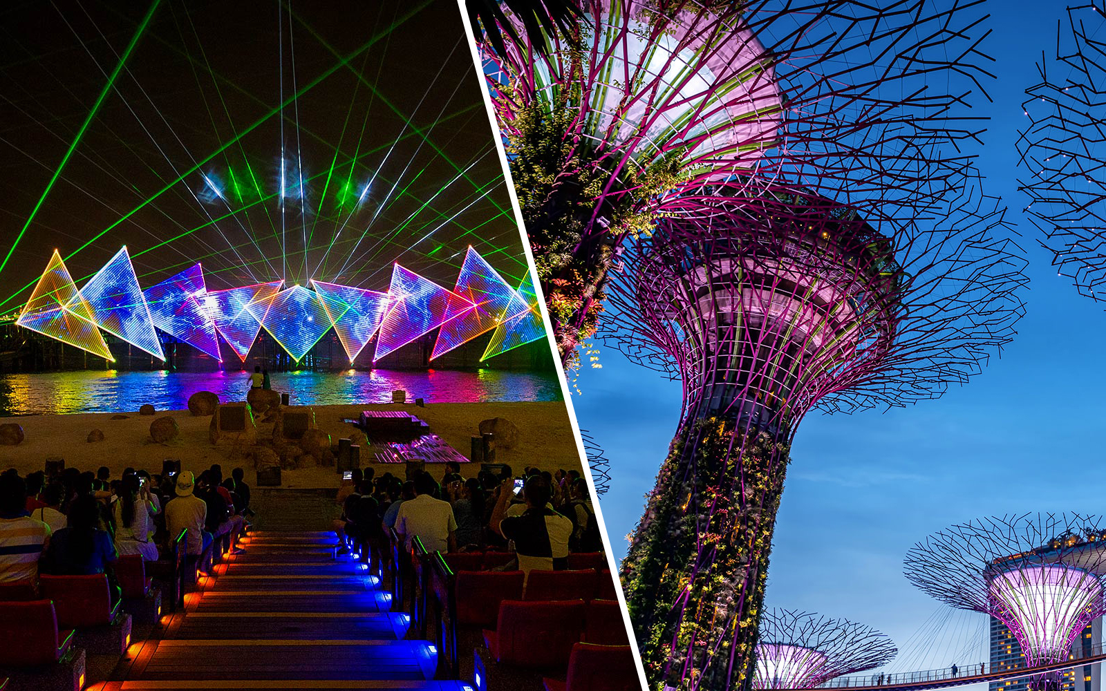 Combo (Save 5%): Wings of Time + Gardens by the Bay Tickets