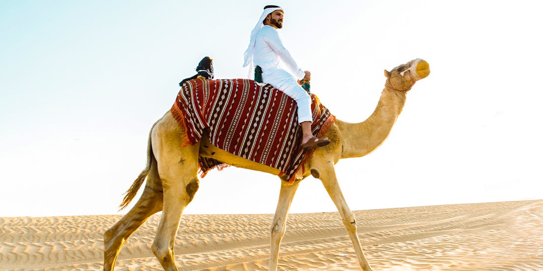 Camel Rides in Dubai