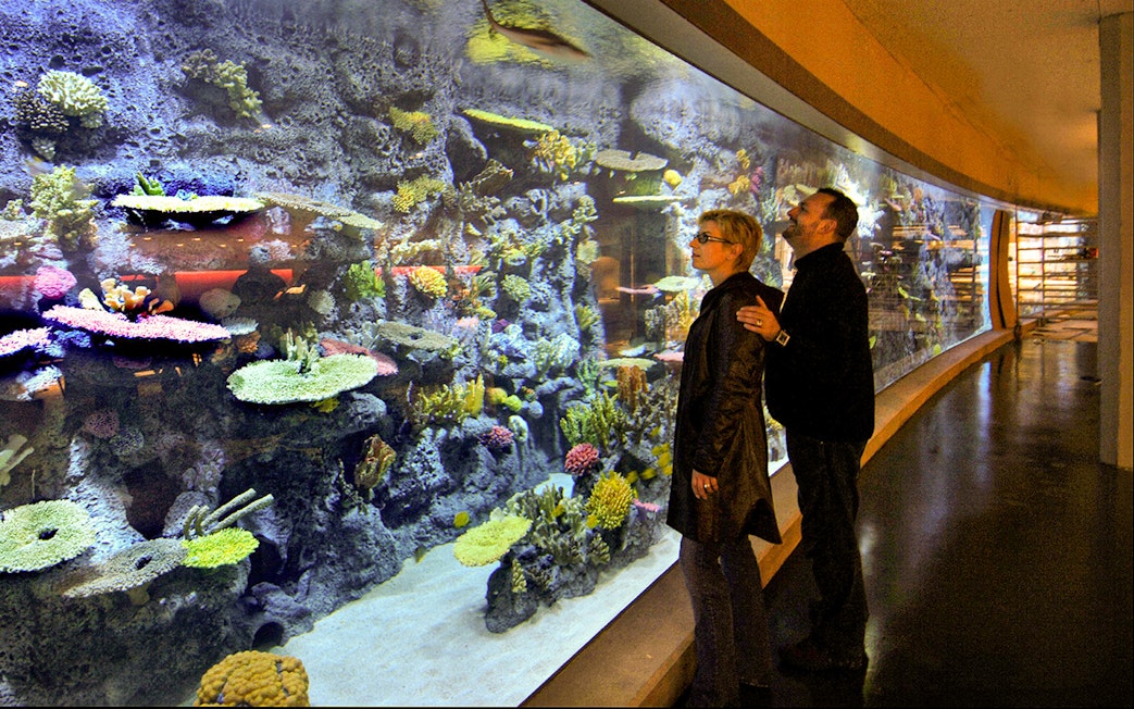 Visitors observing a large aquarium at Tivoli Gardens, Copenhagen.