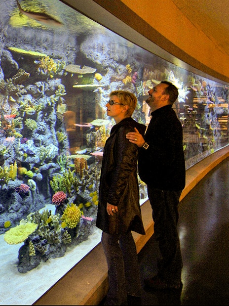 Visitors observing a large aquarium at Tivoli Gardens, Copenhagen.