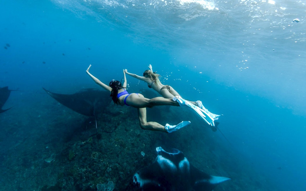 Snorkelers swimming with manta rays at West Nusa Penida Island.
