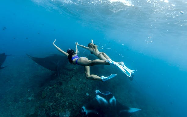 Snorkelers swimming with manta rays at West Nusa Penida Island.