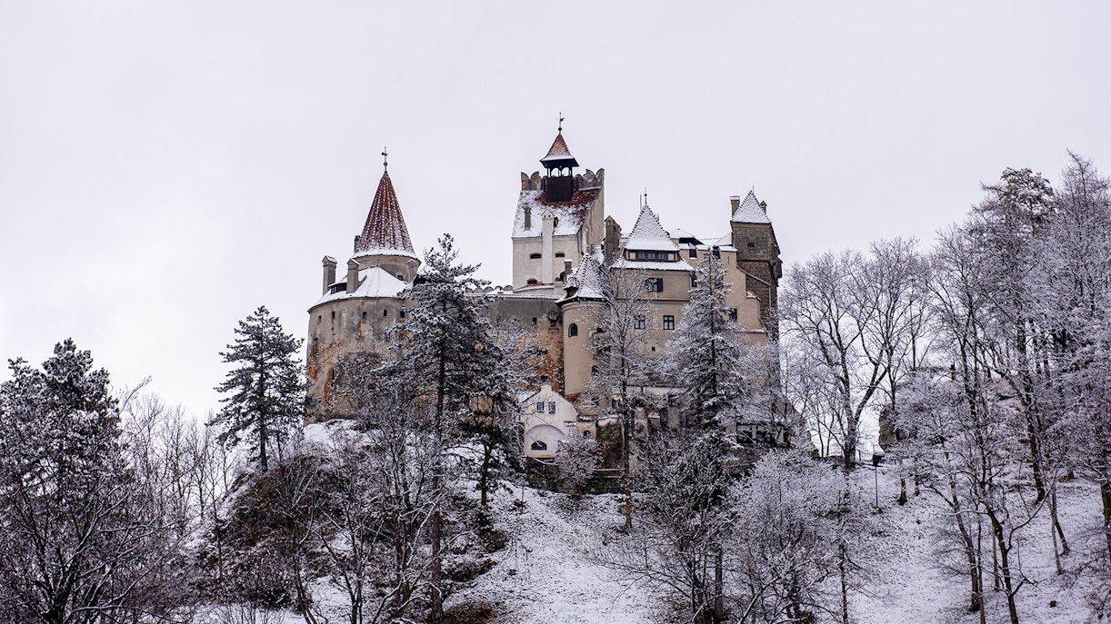 Bran Castle in winter, surrounded by snow-covered trees, Transylvania, Romania.