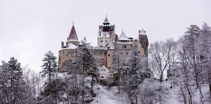 Bran Castle in winter, surrounded by snow-covered trees, Transylvania, Romania.
