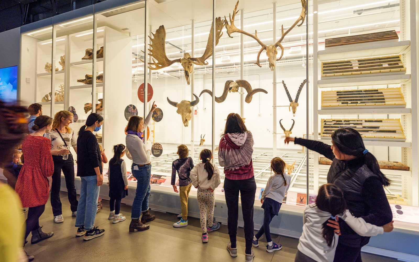 Visitors observing exhibits at the American Museum of Natural History, New York City.
