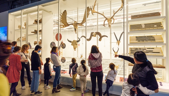 Visitors observing exhibits at the American Museum of Natural History, New York City.