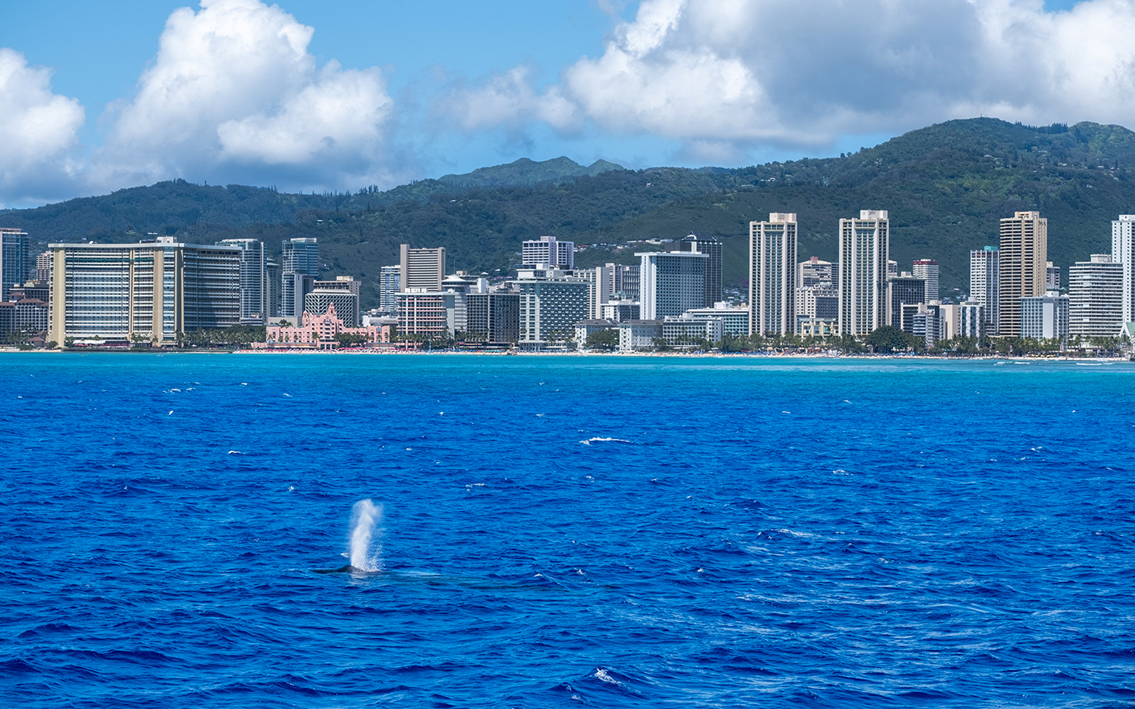 Honolulu Skyline utsiktspunkt
