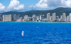Honolulu Skyline utsiktspunkt