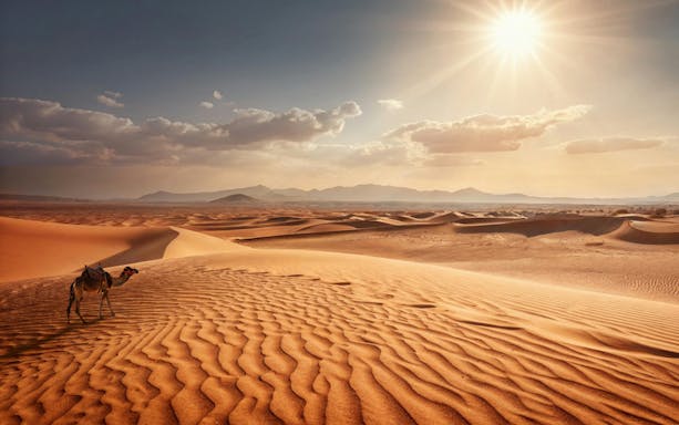 Camel walking across sand dunes in a sunlit desert landscape.