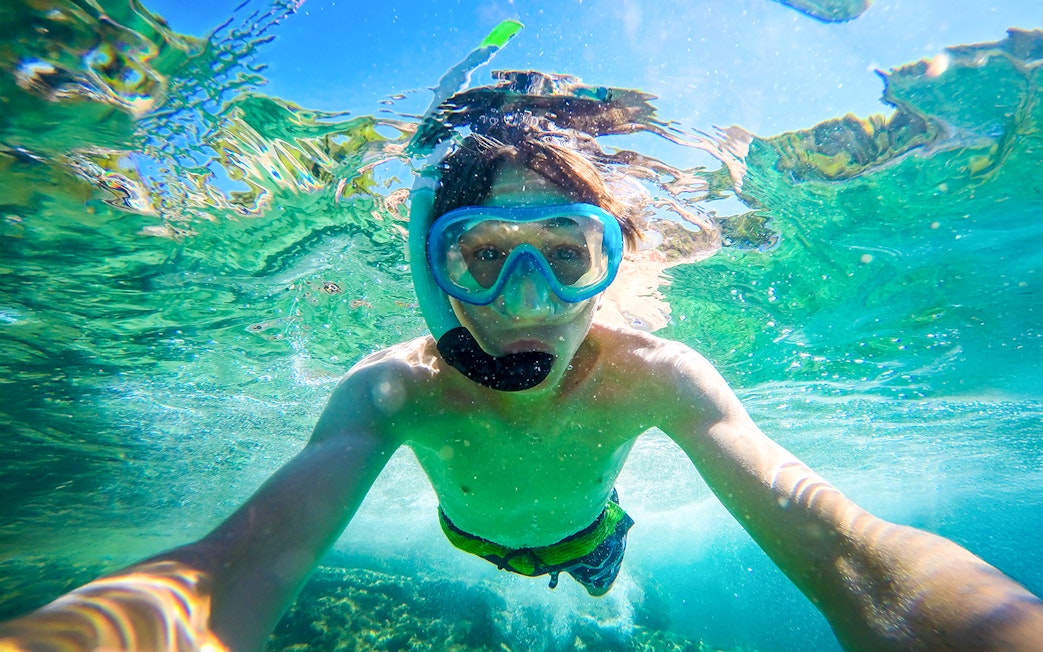 Snorkeler exploring clear waters during Blue Lagoon, Golden Horn, and Hvar speedboat tour.
