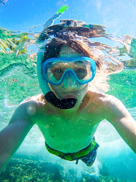 Snorkeler exploring clear waters during Blue Lagoon, Golden Horn, and Hvar speedboat tour.