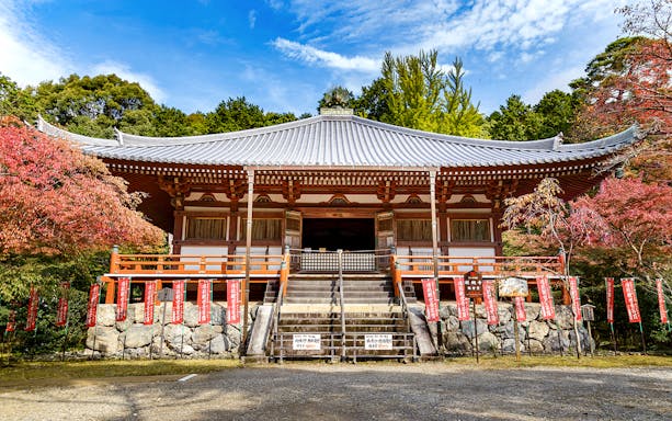 Daigoji Temple entrance surrounded by autumn foliage in Kyoto, Japan.