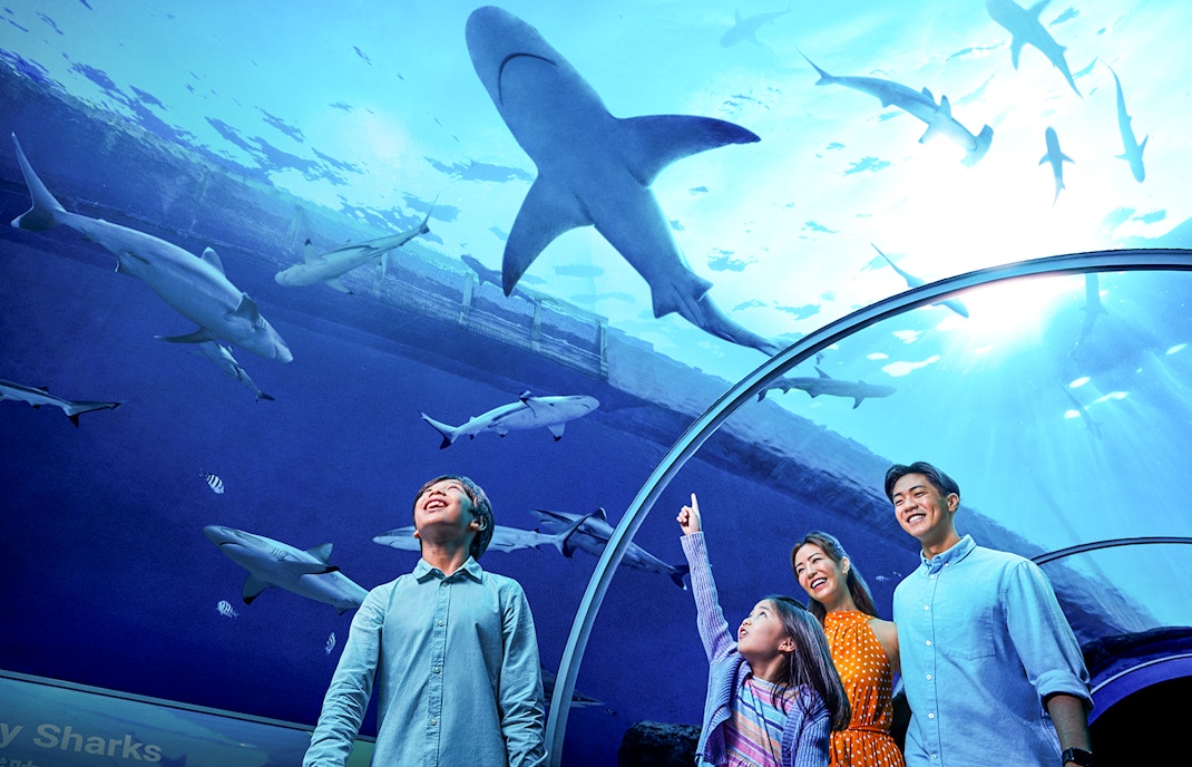 S.E.A Aquarium Singapore