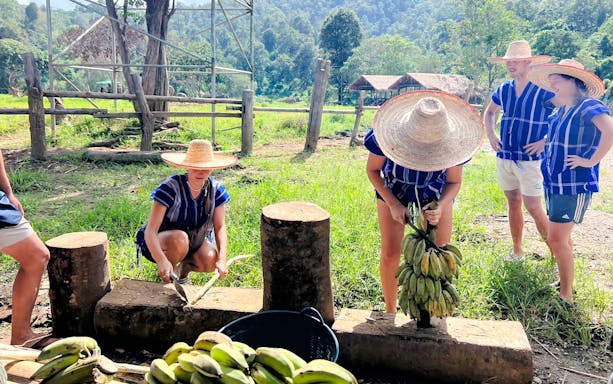 Tourists in Chiang Mai sanctuary chop sugarcane and prepare bananas for elephants.