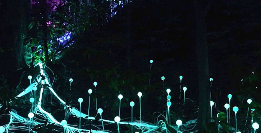 Dream Forest Langkawi Bilety