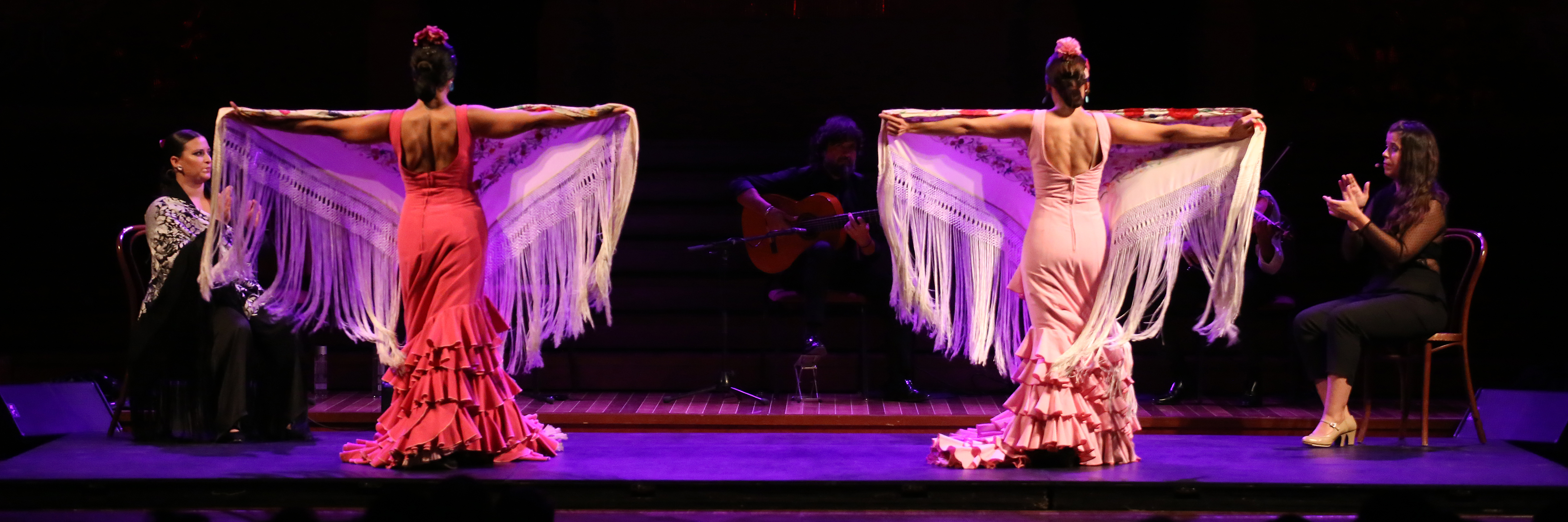 shows de flamenco em madrid