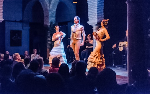 Espectáculo en el Museo del Baile Flamenco