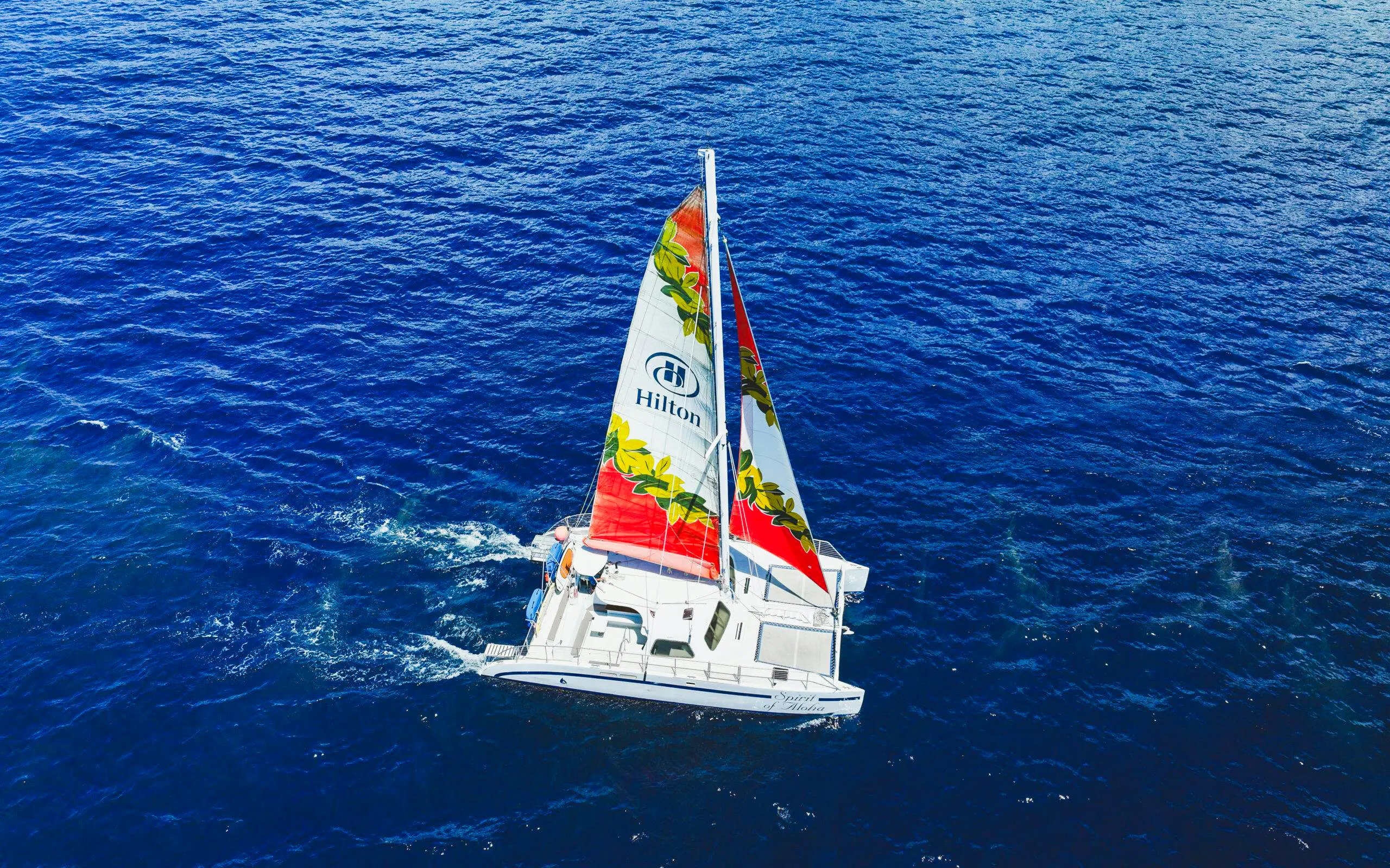 Sailboat on Kona waters during whale watching tour.